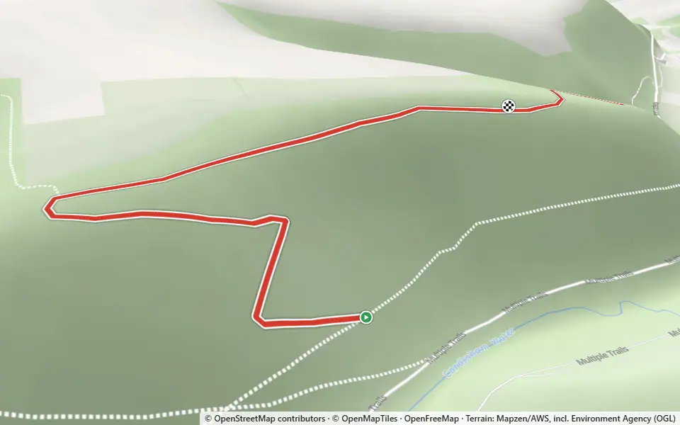 3D preview of a trail at Pinslapark Wood